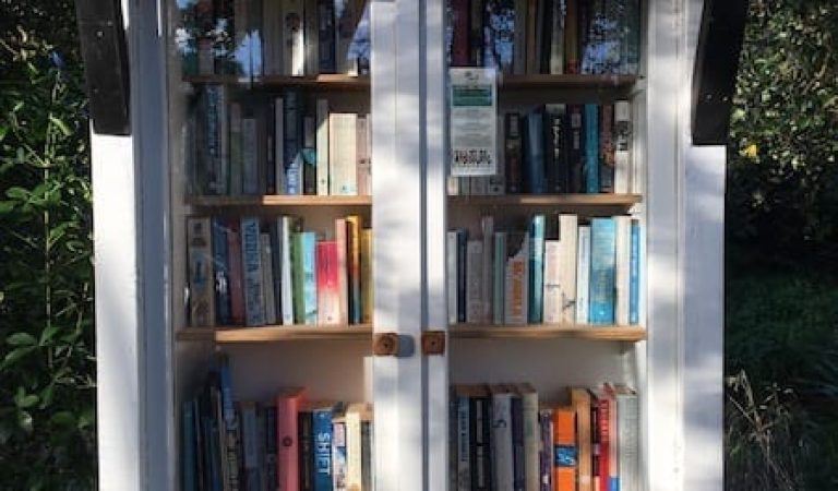 Little Library